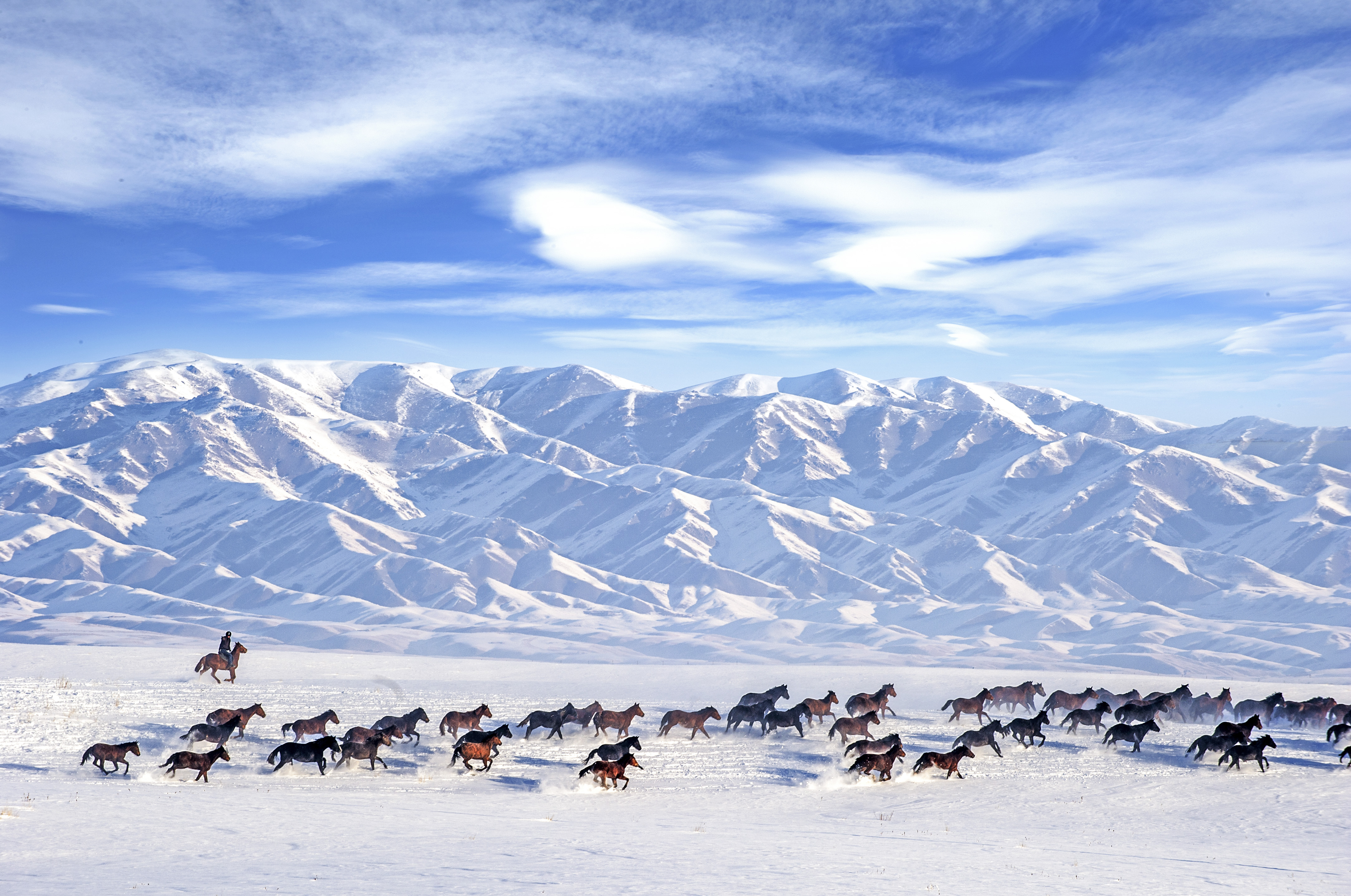 3 伊犁.jpg